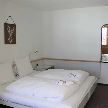 - Elements Lodge Grindelwald