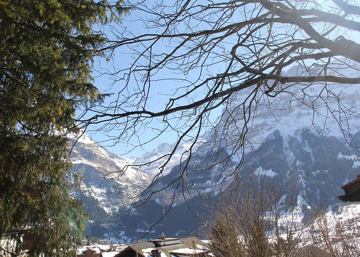 Domek letniskowy - Elements *