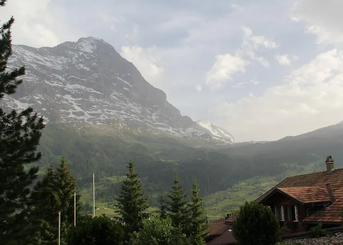 Domek letniskowy - Elements *