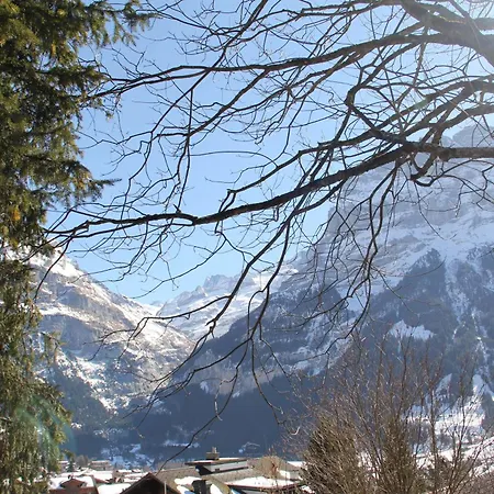 אכסניה - Elements *