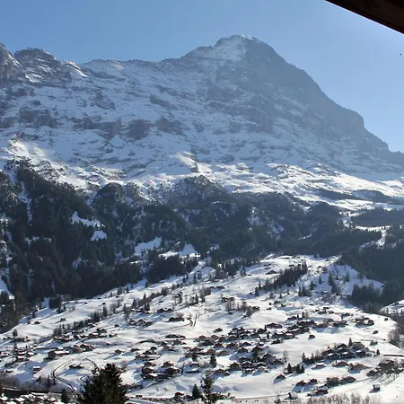 - Elements אכסניה *